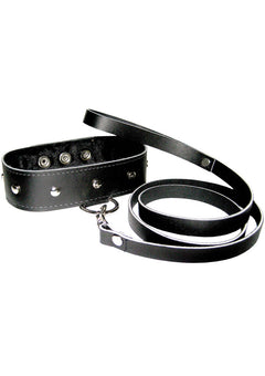 Leather Leash and Collar_1