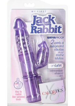 My First Jack Rabbit Purple_0