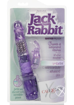 Petite Jack Rabbit Purple_0