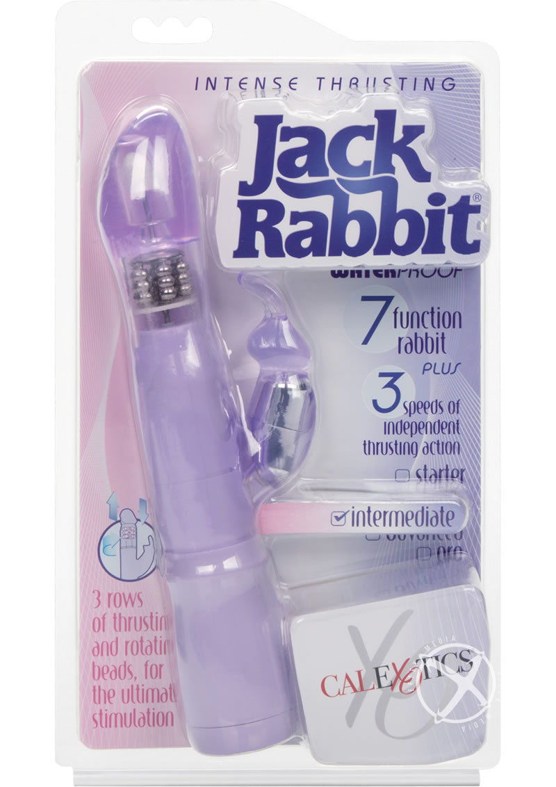 Intense Thrusting Jack Rabbit Purple_0