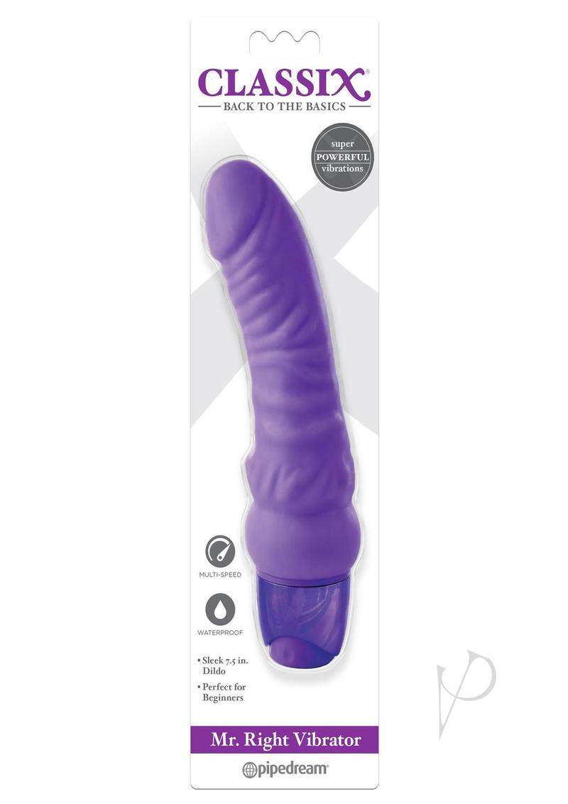 Mr Right Vibrator Purple_0