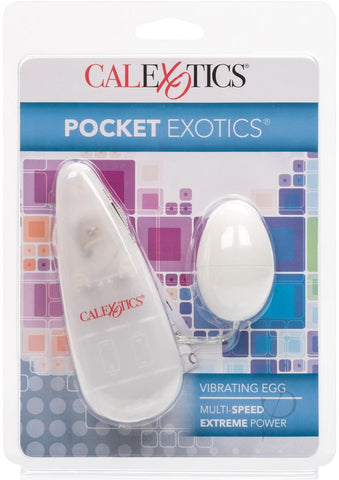 Image of Pocket Exotic Ivory Egg_0